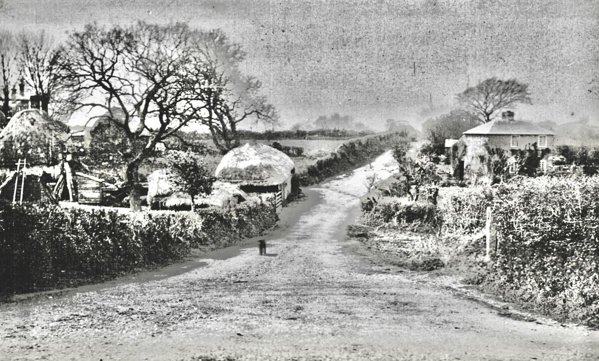 Location unknown